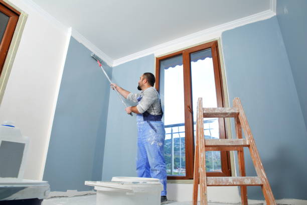 Best Black Mold Removal  in Collinwood, TN