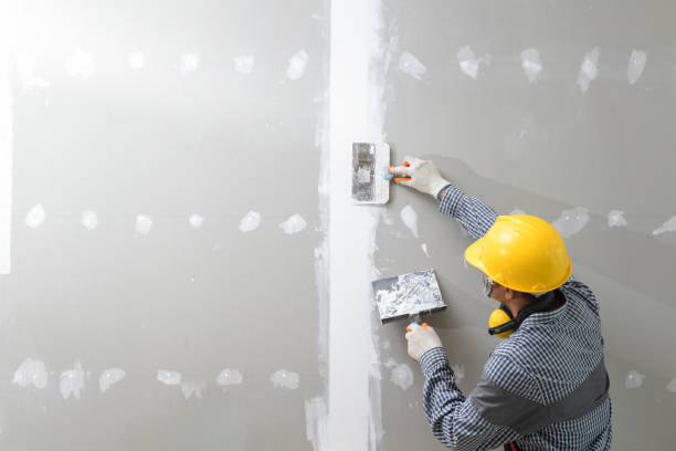 Best Air Quality Testing for Mold Spores  in Collinwood, TN