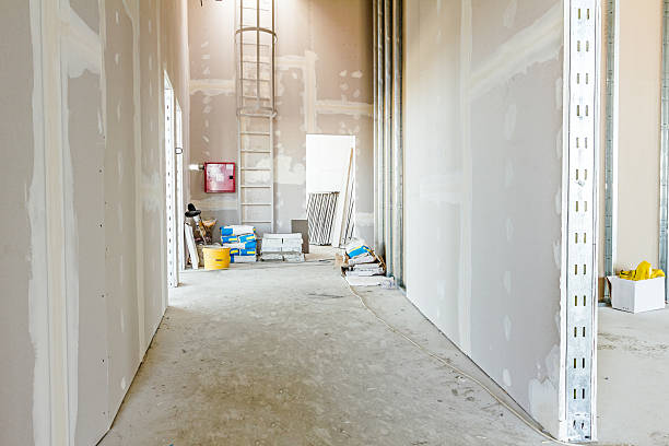 Best Biohazard Mold Removal  in Collinwood, TN