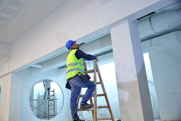 Best Asbestos and Lead Testing During Mold Inspection  in Collinwood, TN